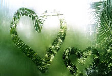 转会期突围战来临；法兰克福围绕社区盾完成体检；目标明确；轮换策略成焦点(德国法兰克福简介)